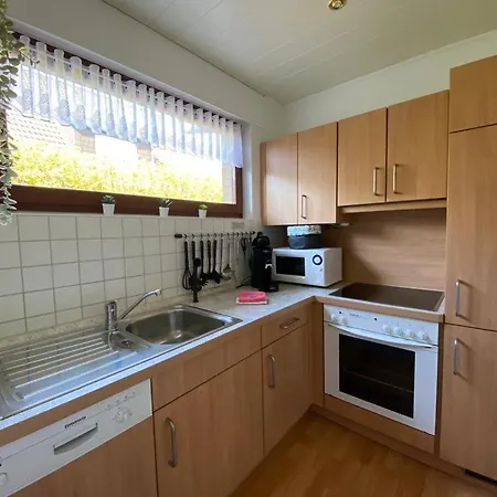 Kleine Robbe Dangast